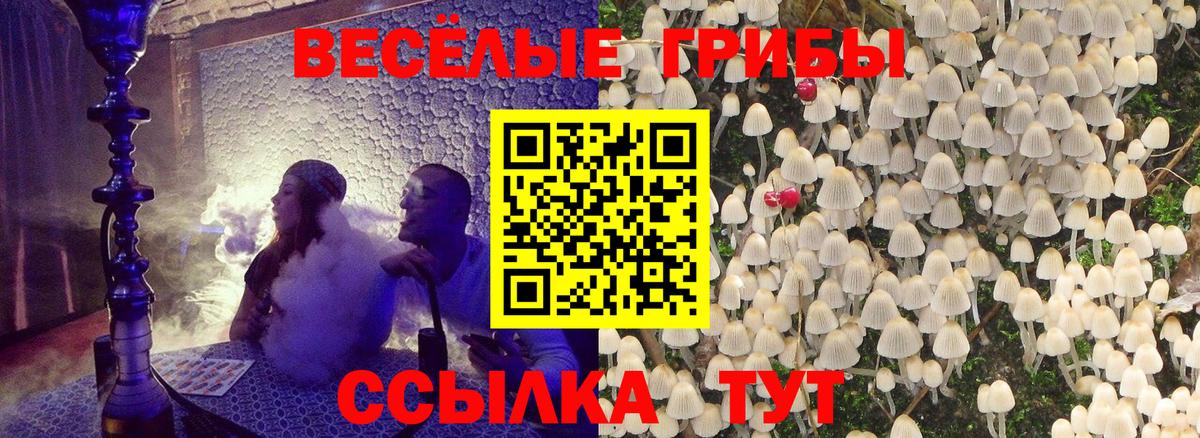 Галлюциногенные грибы Cubensis  Вход с VPN  Псилоцибиновые грибы ЛСД  Будённовск 