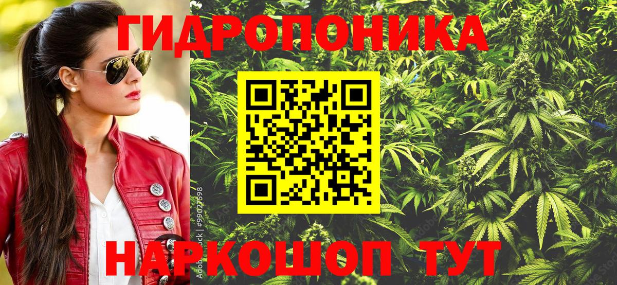 Бошки Шишки White Widow  Бошки марихуана Ganja  МАРИХУАНА план  Вход с VPN  Будённовск 